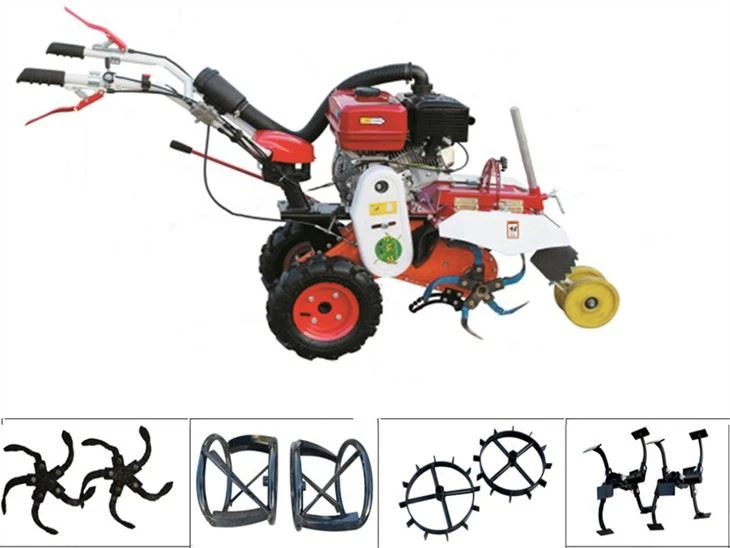 Mini Paddy Small Rotavator Cultivator Rotary Tiller di Pakistan